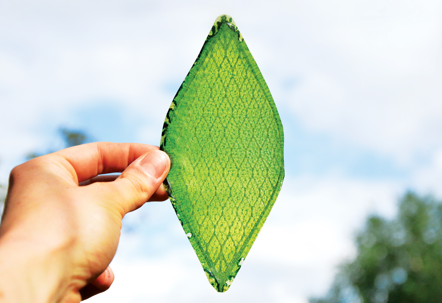 Artificial Leaf Technology could one Day Power our World