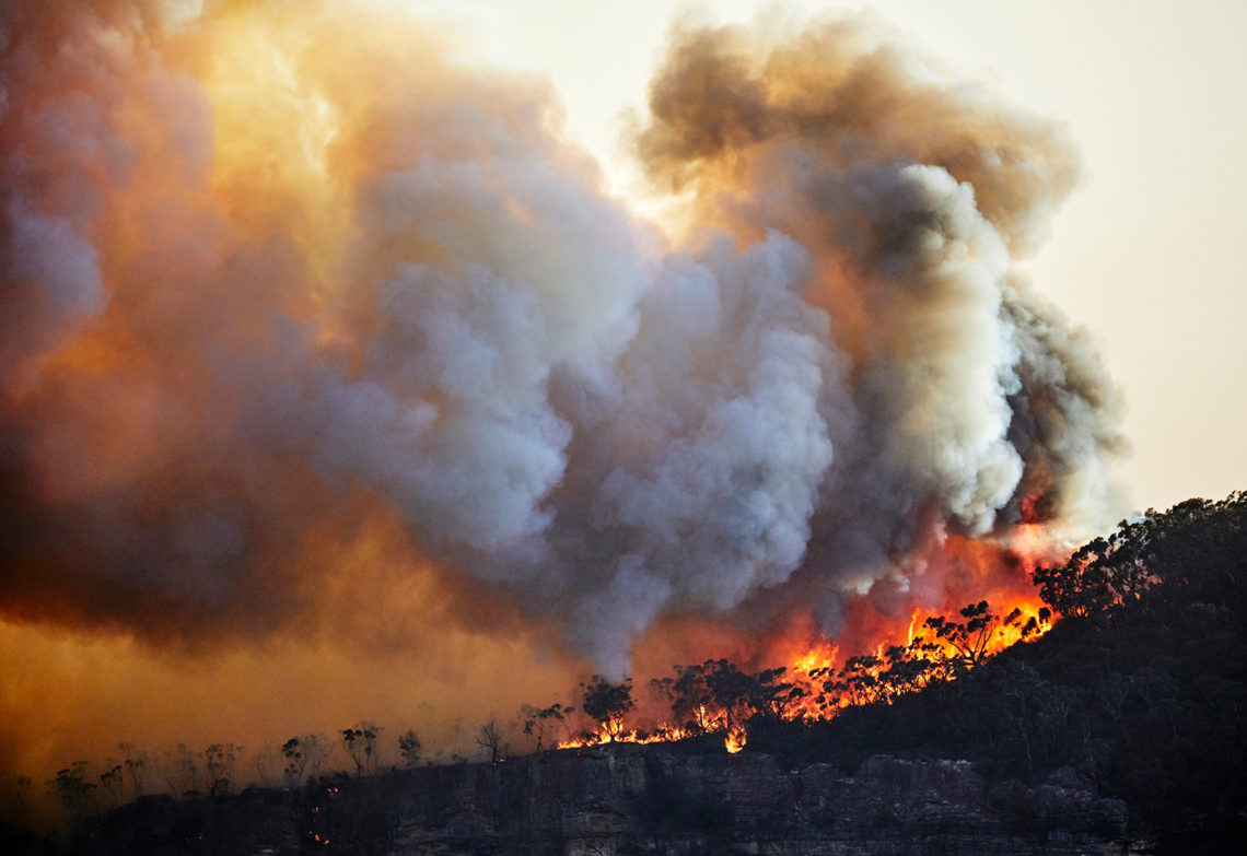 Bushfire mitigation: "Tackling climate change must be number one ...